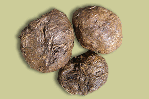 Gallery Thai Elephant Pooh